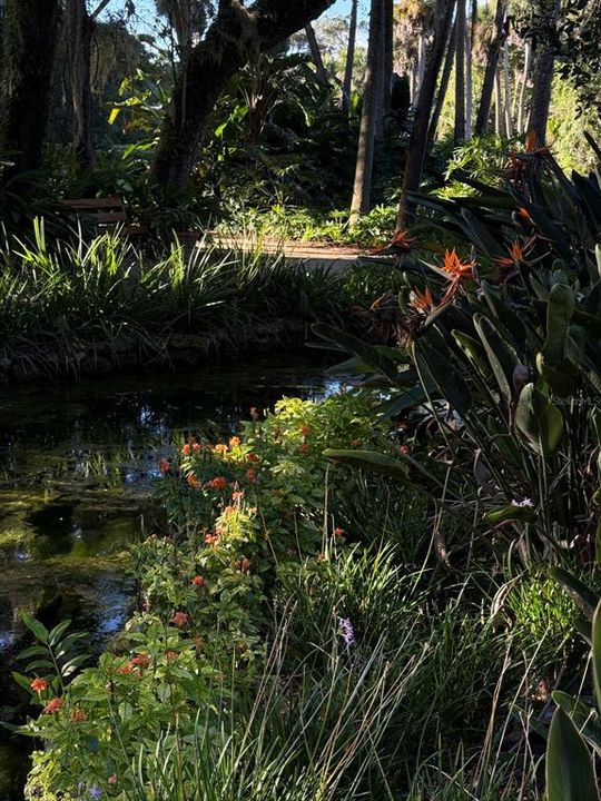 En Venta: $199,900 (0.28 acres)