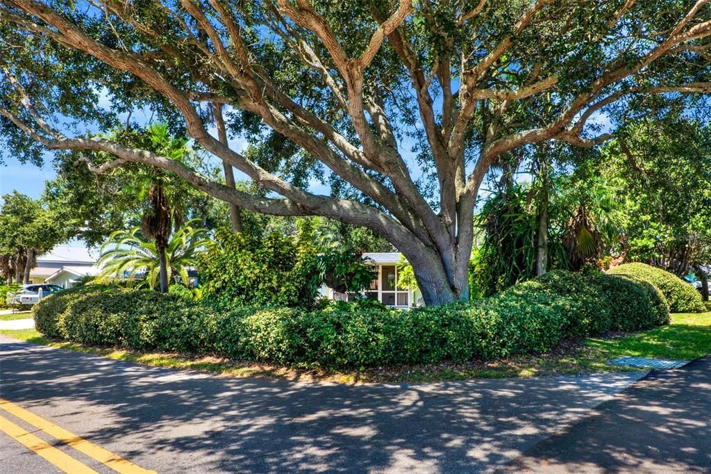 合同活跃: $1,050,000 (3 贝兹, 2 浴室, 1361 平方英尺)