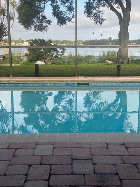 For Rent: $5,500 (5 beds, 4 baths, 3160 Square Feet)