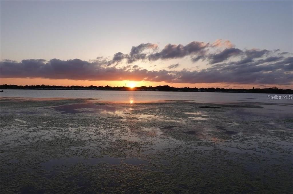 For Rent: $5,500 (5 beds, 4 baths, 3160 Square Feet)