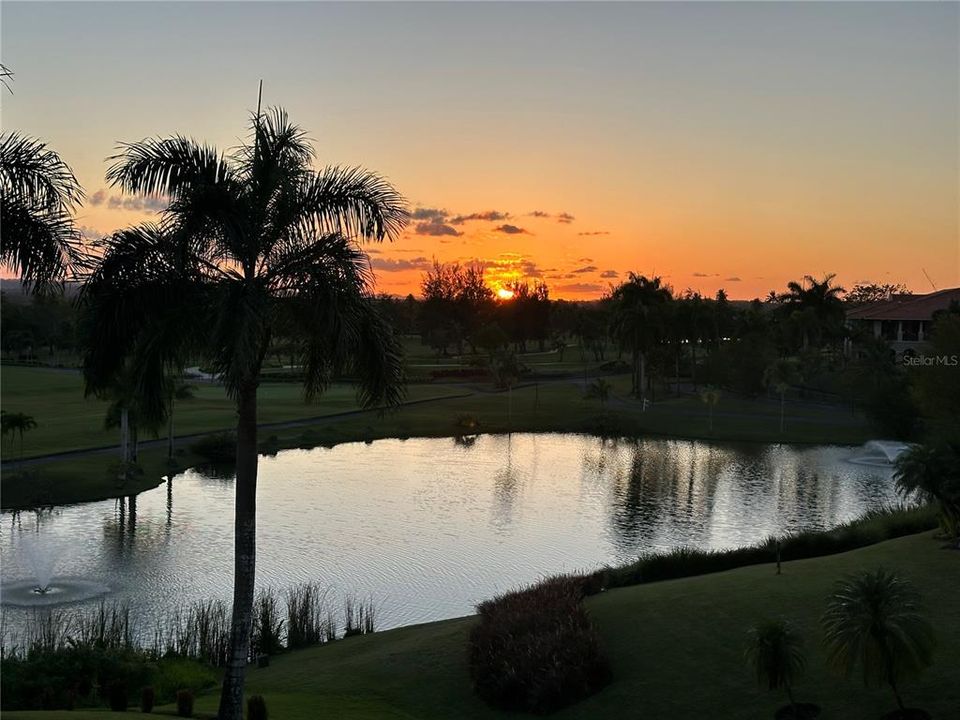 For Sale: $3,295,000 (3 beds, 3 baths, 2339 Square Feet)