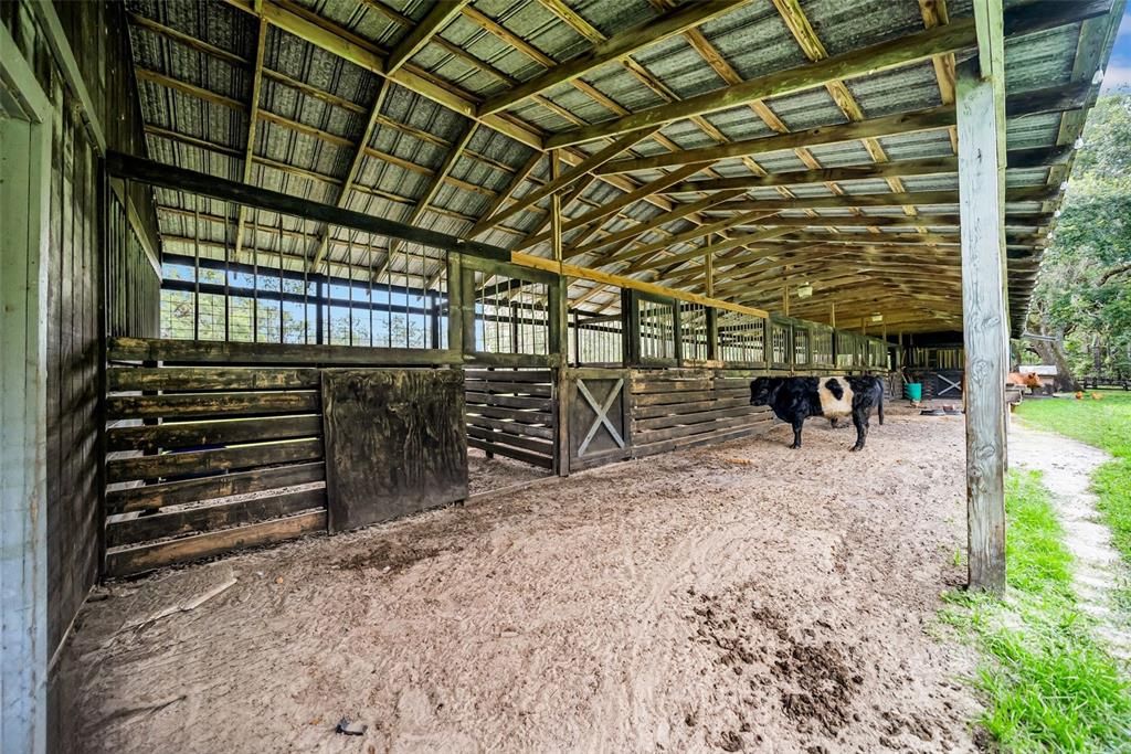 Под контрактом: $449,900 (3 спален, 3 ванн, 2010 Квадратных фут)