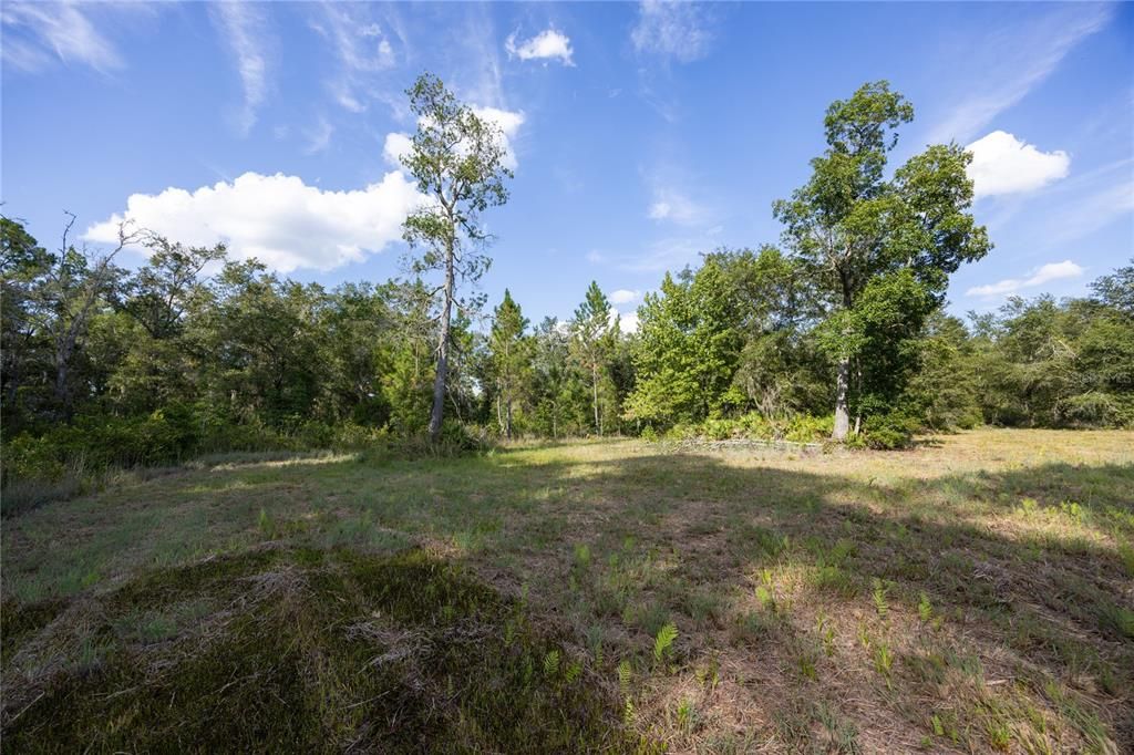 For Sale: $267,000 (4 beds, 3 baths, 2052 Square Feet)