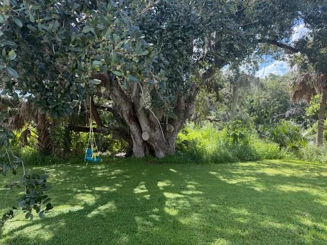 Activo con contrato: $499,999 (3 camas, 2 baños, 2978 Pies cuadrados)