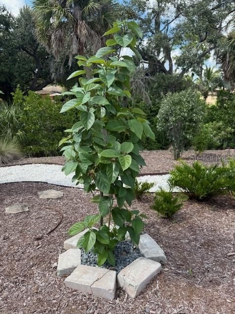 Activo con contrato: $499,999 (3 camas, 2 baños, 2978 Pies cuadrados)