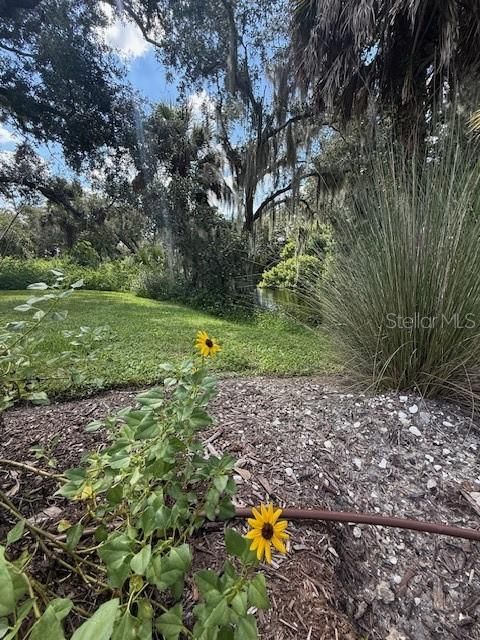 Activo con contrato: $499,999 (3 camas, 2 baños, 2978 Pies cuadrados)