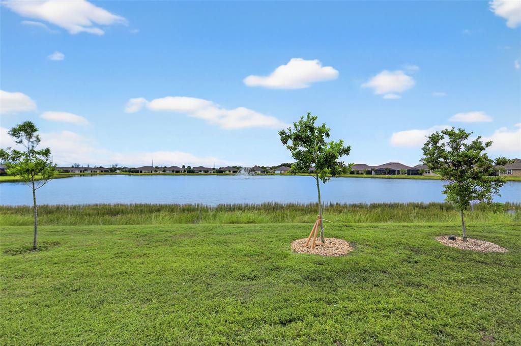 Под контрактом: $309,000 (2 спален, 2 ванн, 1516 Квадратных фут)