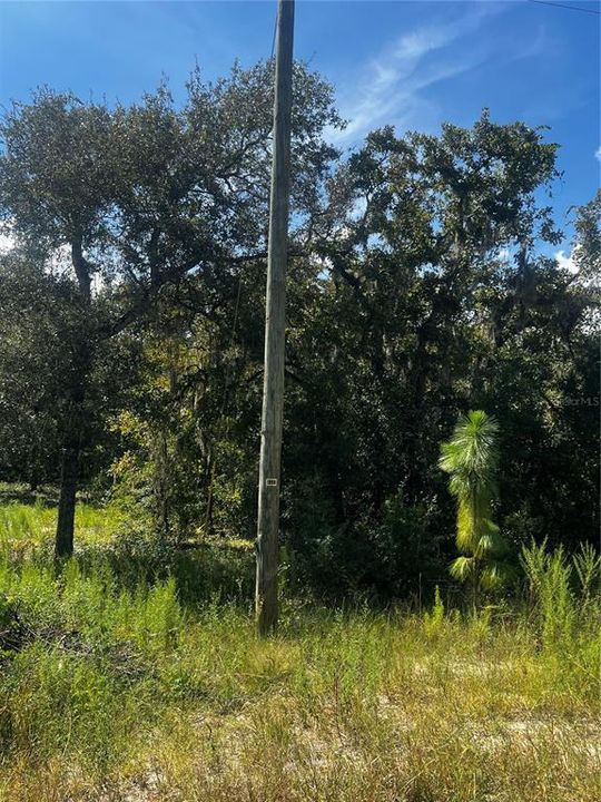 待售: $55,000 (0.50 acres)