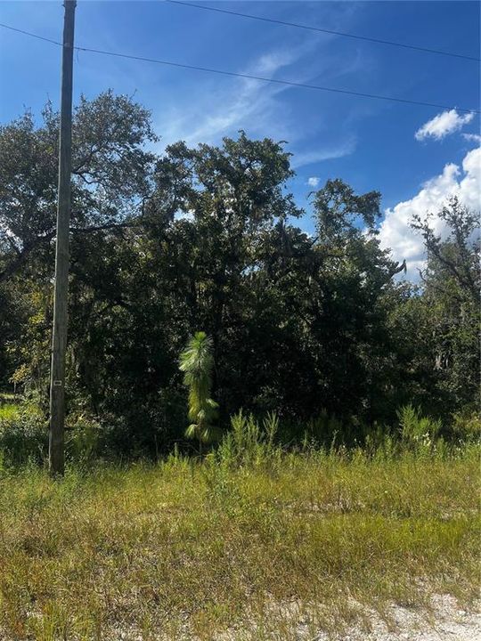 待售: $55,000 (0.50 acres)