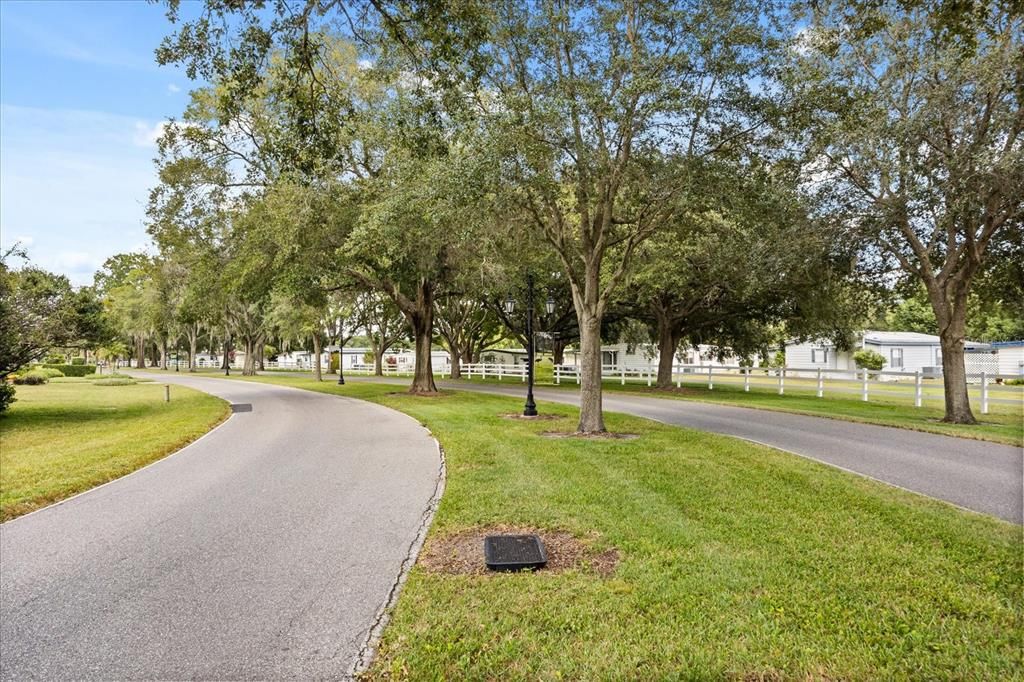 待售: $263,900 (3 贝兹, 2 浴室, 1560 平方英尺)