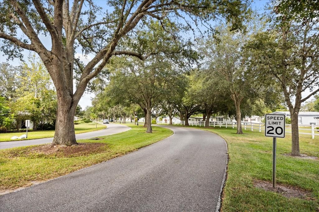 待售: $263,900 (3 贝兹, 2 浴室, 1560 平方英尺)