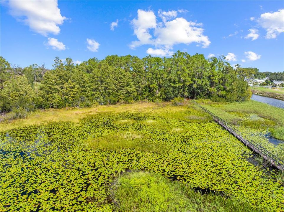 For Sale: $299,000 (2.10 acres)