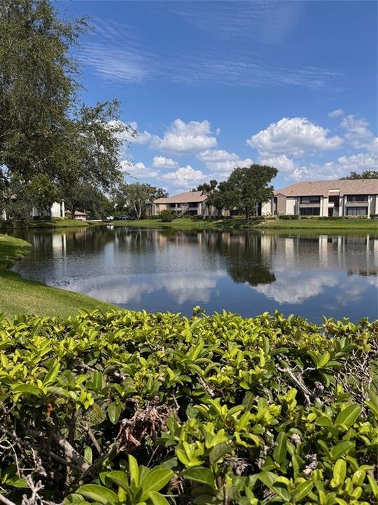 Под контрактом: $105,000 (1 спален, 1 ванн, 742 Квадратных фут)