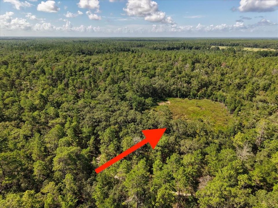 На продажу: $6,900 (0.18 acres)