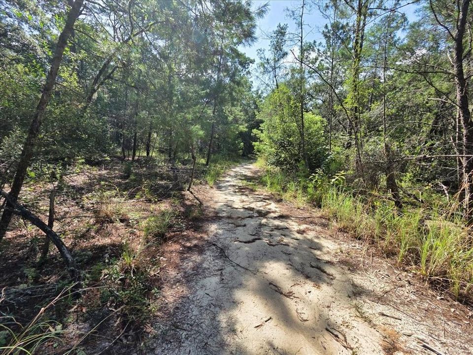 На продажу: $6,900 (0.18 acres)