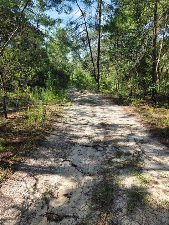 На продажу: $6,900 (0.18 acres)