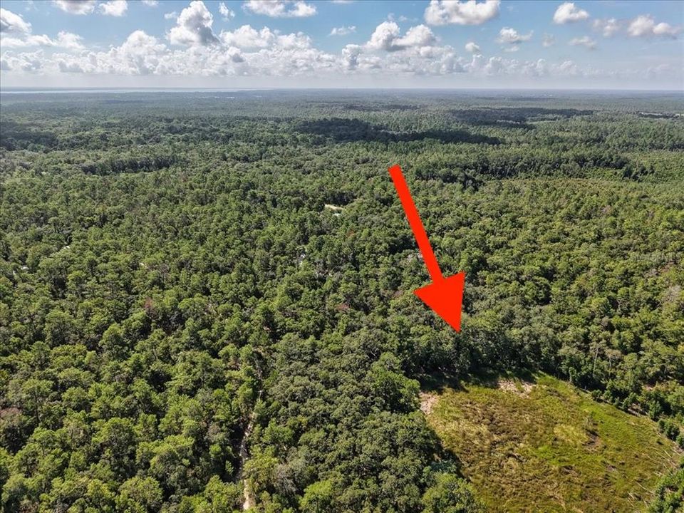 На продажу: $6,900 (0.18 acres)