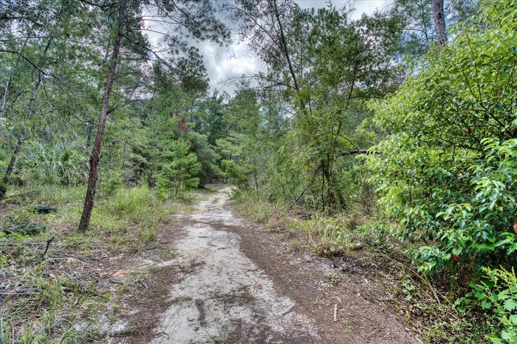 На продажу: $6,900 (0.18 acres)