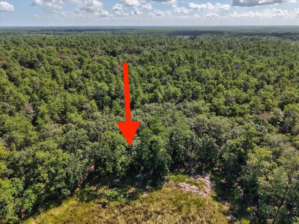 На продажу: $6,900 (0.18 acres)