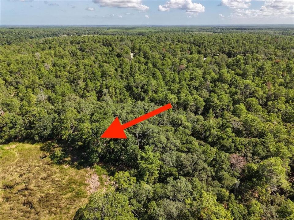 На продажу: $6,900 (0.18 acres)