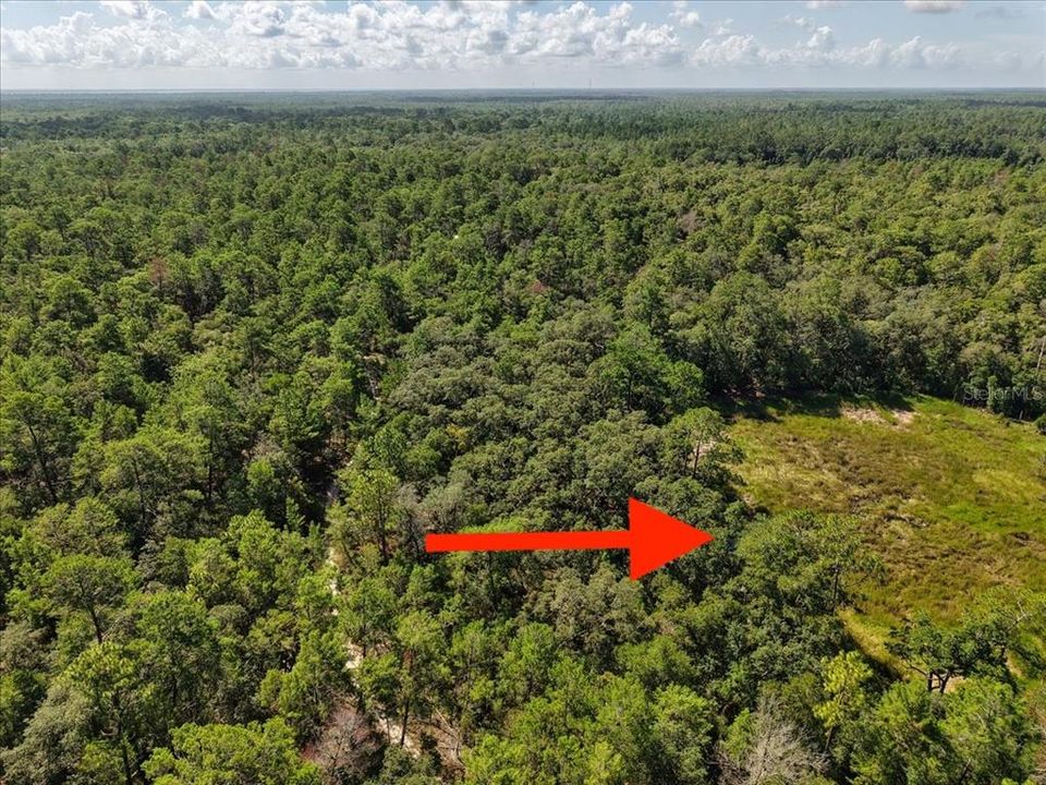 На продажу: $6,900 (0.18 acres)