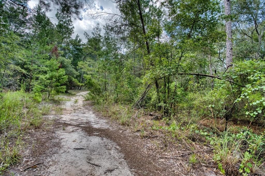 На продажу: $6,900 (0.18 acres)