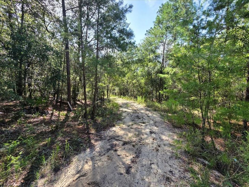 На продажу: $6,900 (0.18 acres)