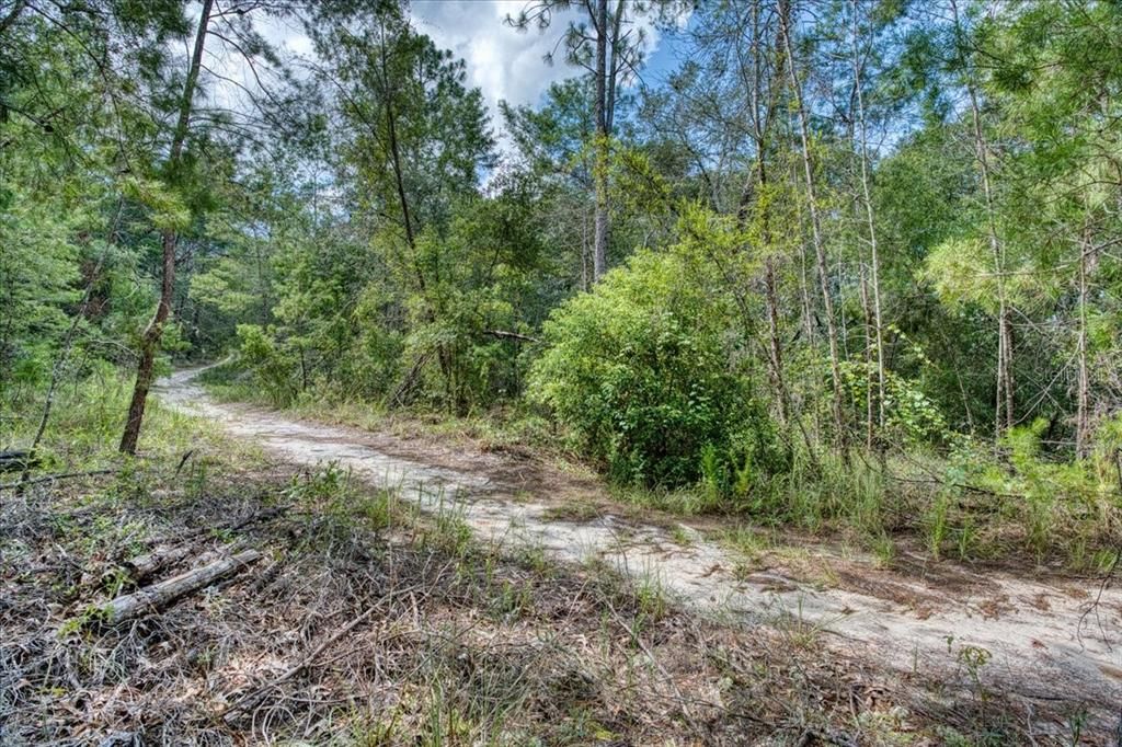 На продажу: $6,900 (0.18 acres)