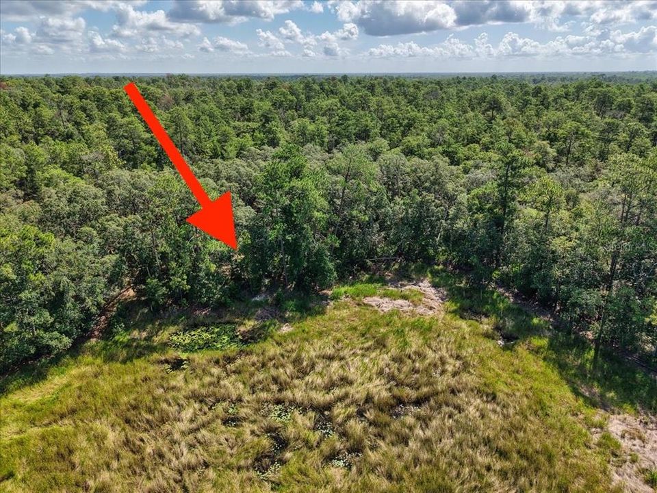 На продажу: $6,900 (0.18 acres)
