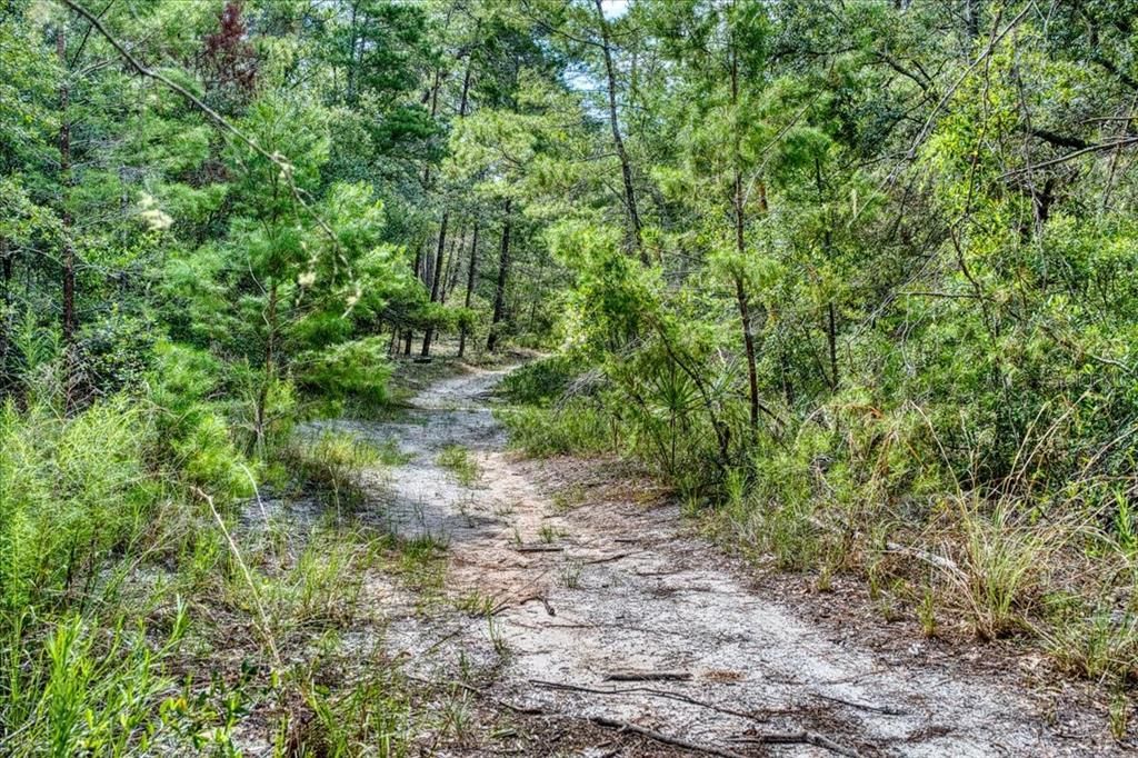 На продажу: $6,900 (0.18 acres)