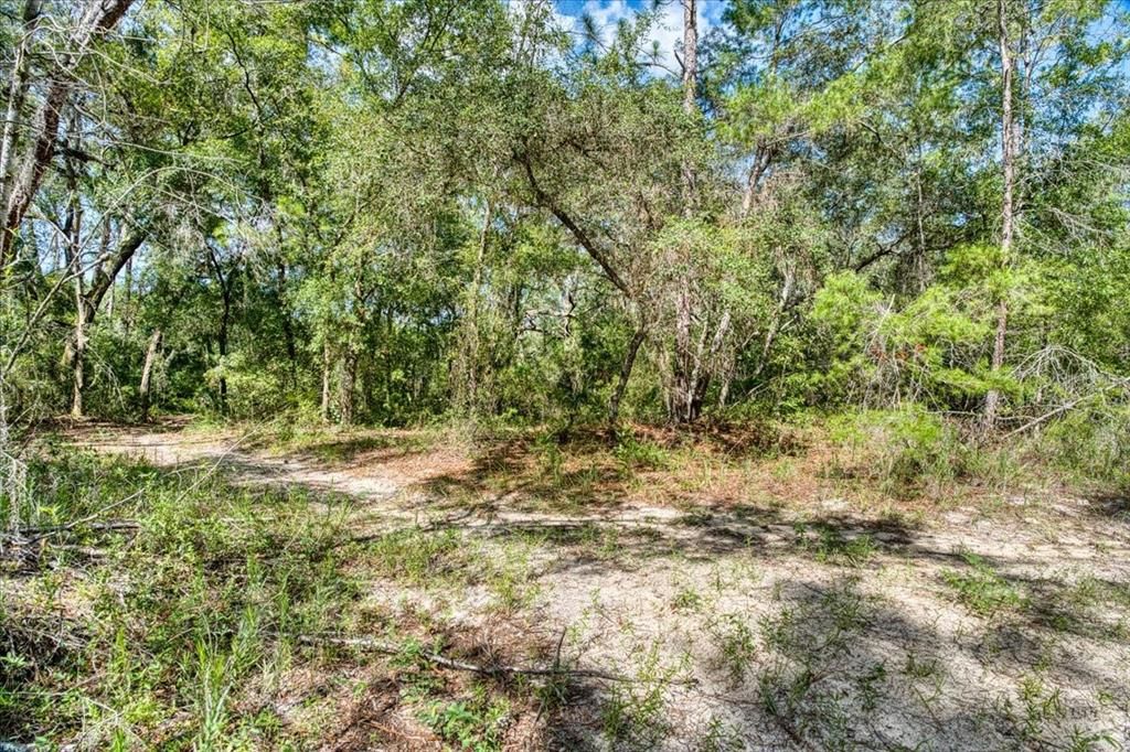 На продажу: $6,900 (0.18 acres)