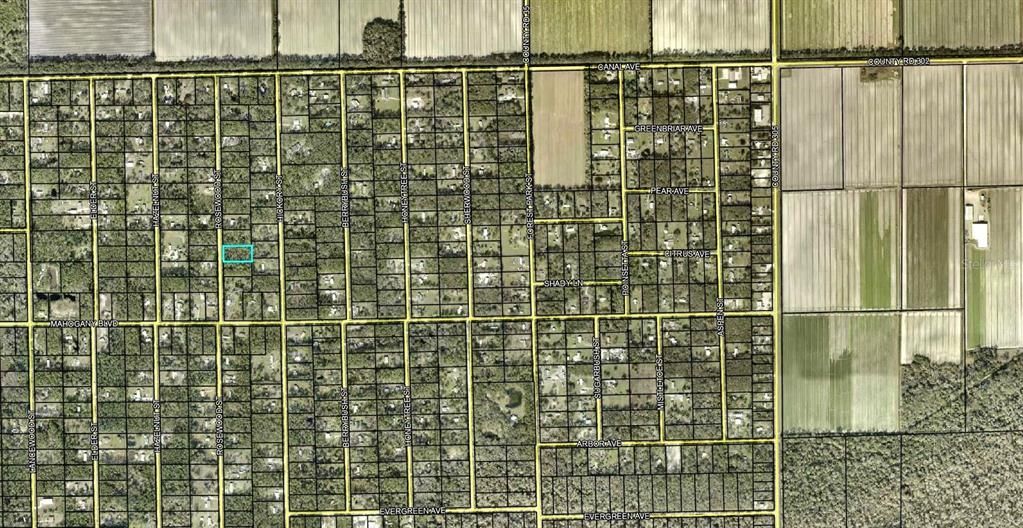 待售: $39,000 (1.14 acres)