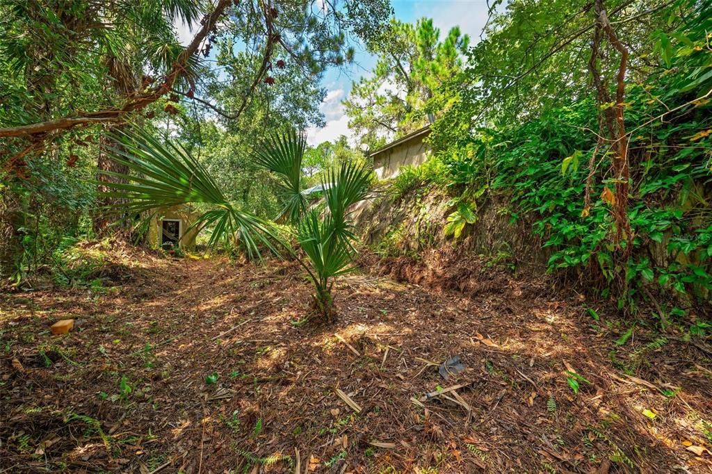 Под контрактом: $183,000 (0.45 acres)