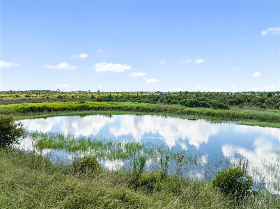 На продажу: $220,000 (10.00 acres)