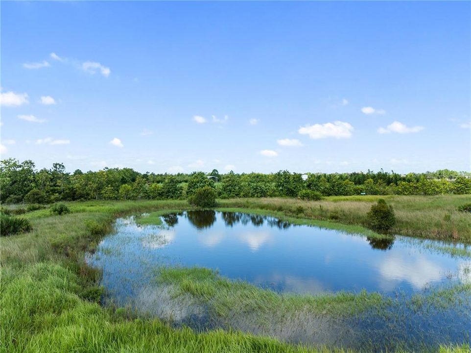 На продажу: $220,000 (10.00 acres)