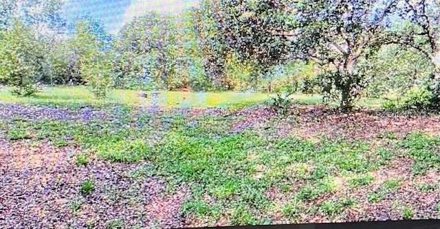 For Sale: $395,000 (4 beds, 2 baths, 1650 Square Feet)