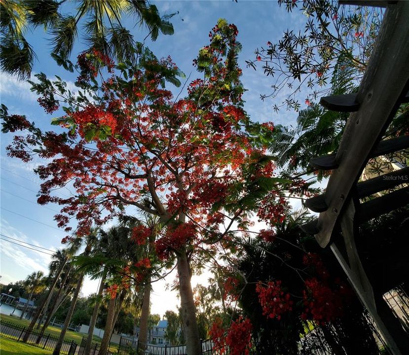 待售: $825,000 (3 贝兹, 2 浴室, 1568 平方英尺)