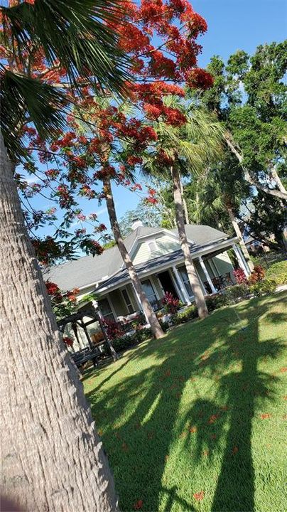 待售: $825,000 (3 贝兹, 2 浴室, 1568 平方英尺)