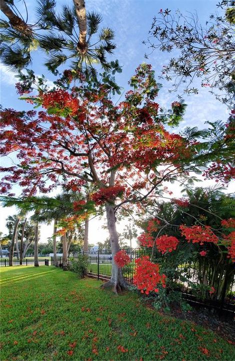 待售: $825,000 (3 贝兹, 2 浴室, 1568 平方英尺)