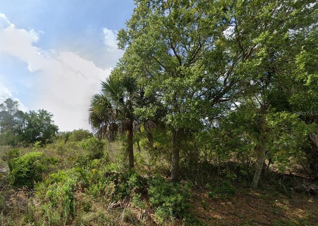 待售: $31,990 (0.23 acres)