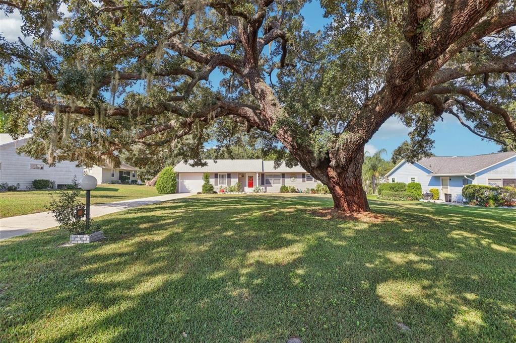 合同活跃: $235,000 (2 贝兹, 2 浴室, 1151 平方英尺)