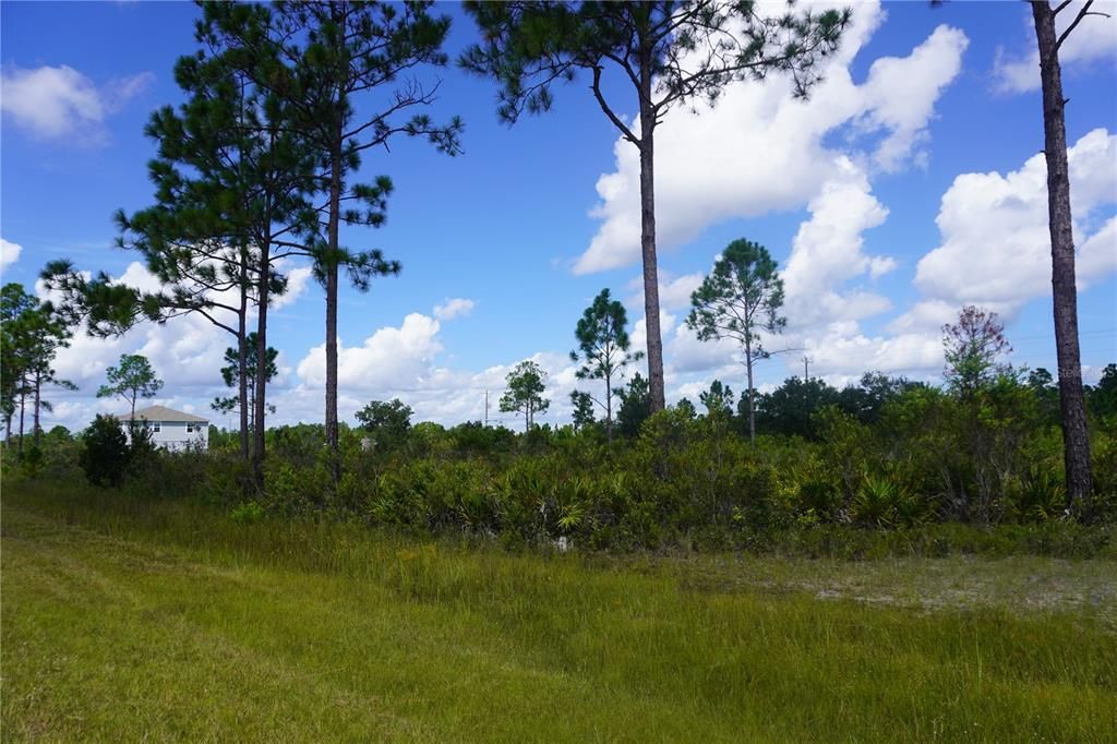 For Sale: $20,000 (0.60 acres)