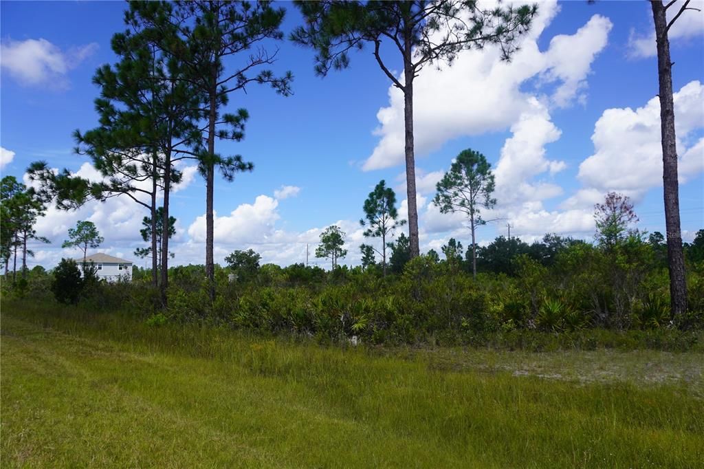 For Sale: $20,000 (0.60 acres)