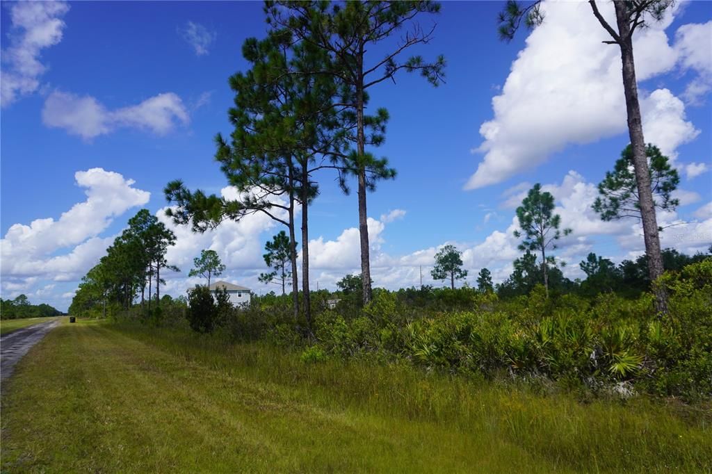 For Sale: $20,000 (0.60 acres)