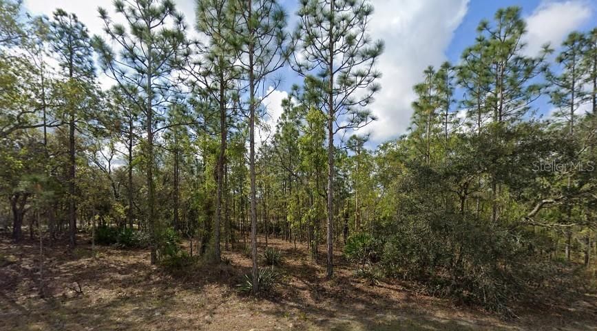 En Venta: $39,900 (0.47 acres)