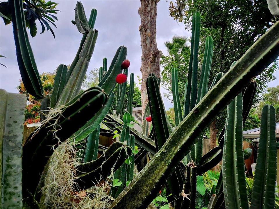 合同活跃: $419,000 (3 贝兹, 2 浴室, 1830 平方英尺)