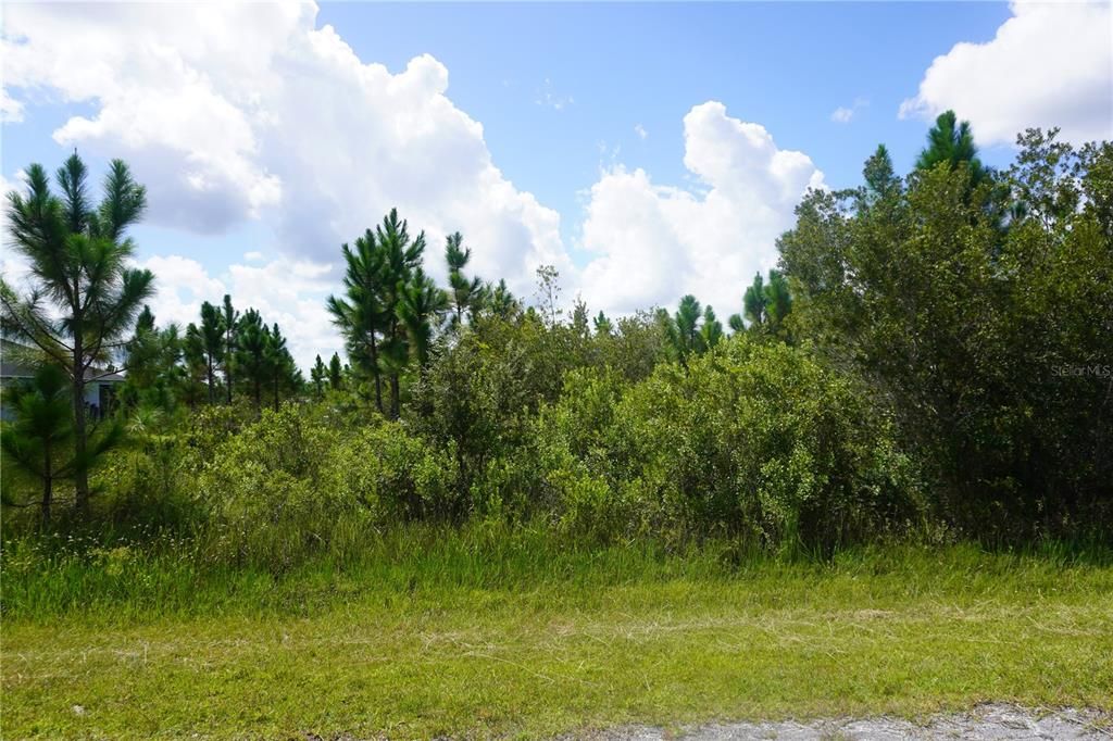 На продажу: $20,000 (0.50 acres)