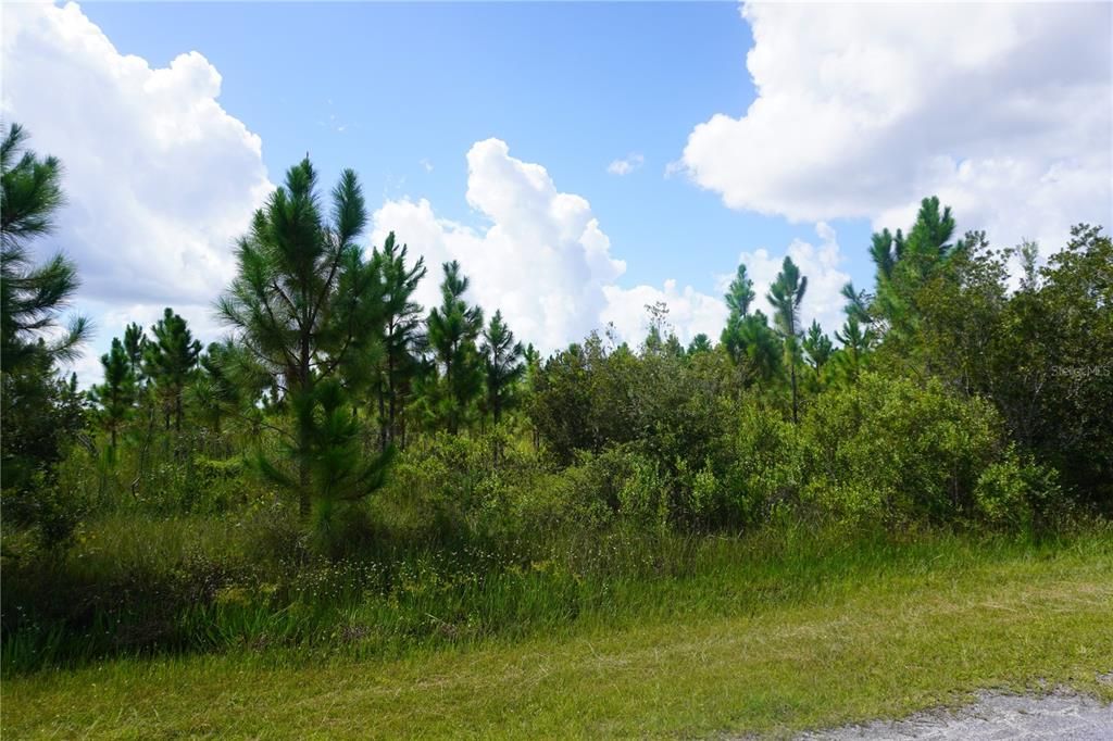 На продажу: $20,000 (0.50 acres)