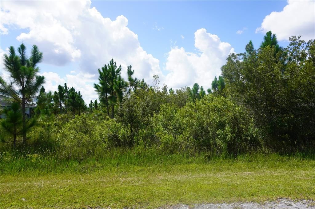 На продажу: $20,000 (0.50 acres)