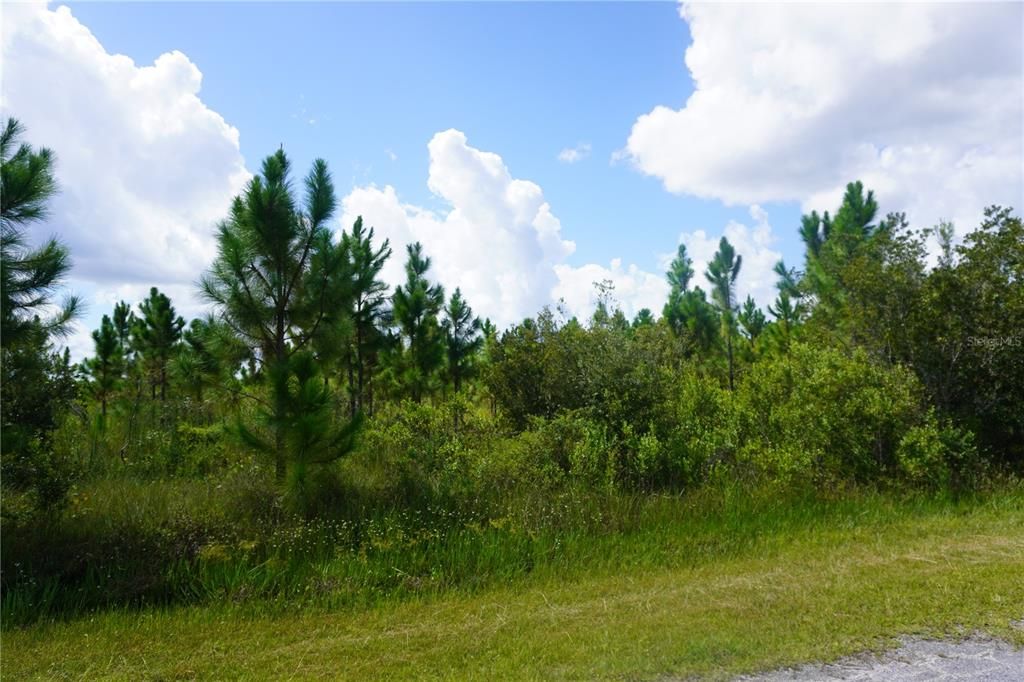 На продажу: $20,000 (0.50 acres)